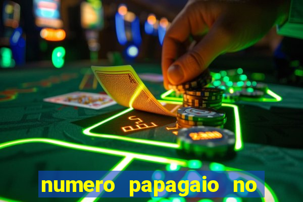 numero papagaio no jogo do bicho